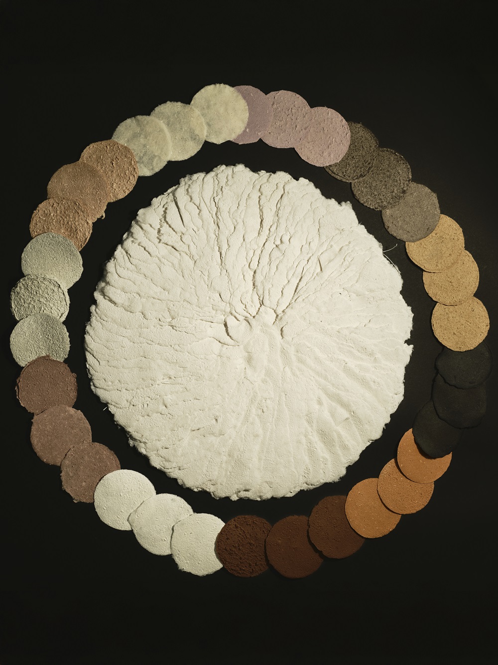 The artwork *Agaricales album* depicts the underside of a white gilled mushroom. The colored mushroom papers are made from different species of mushrooms.